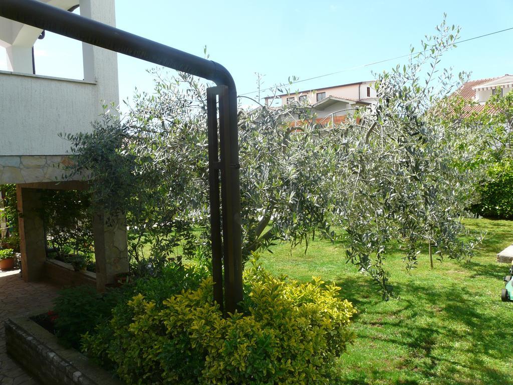Apartments Mirela Poreč Exteriér fotografie